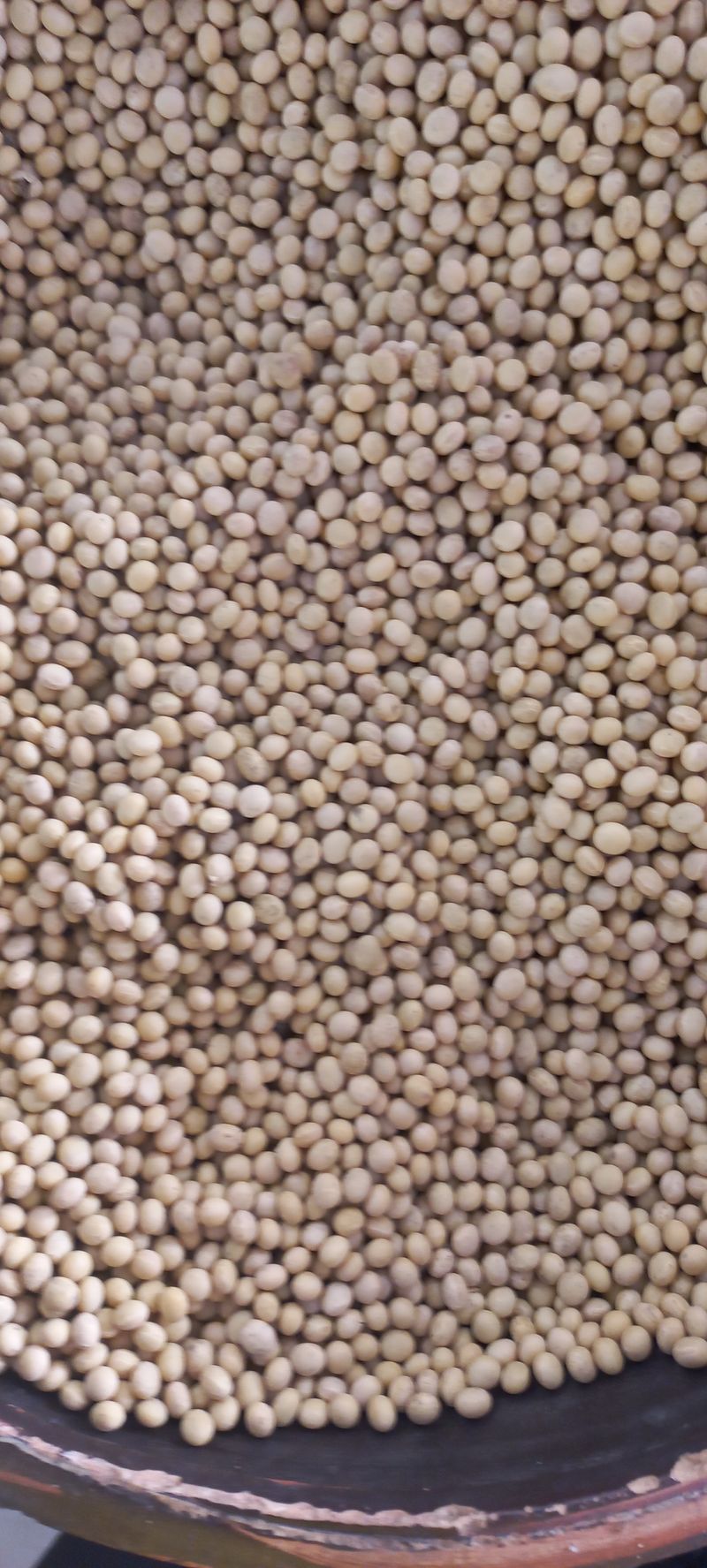 논산 농부 부인님의 장터 판매 상품 [서리콩 들깨 메주콩] 첨부 사진