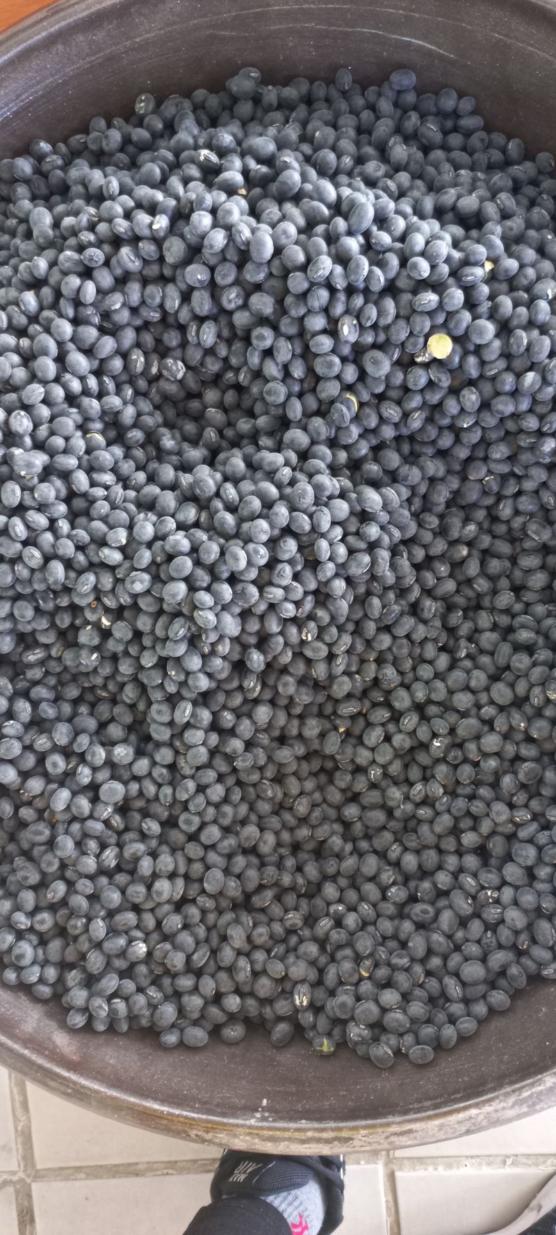 논산 농부 부인님의 장터 판매 상품 [서리콩 들깨 메주콩] 첨부 사진