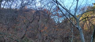 이동훈님의 감 · 자유게시판 작성글 사진