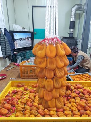 사과와곶감님의 감 · 자유게시판 작성글 사진