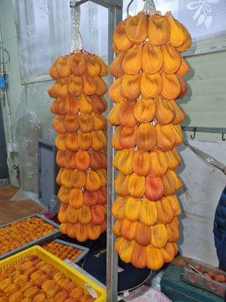 사과와곶감님의 감 · 자유게시판 작성글 사진