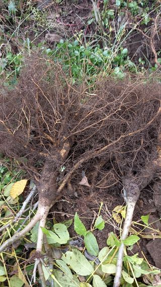 까두까두 님의 작성글 사진