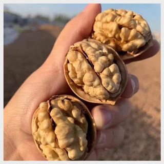 까두까두 님의 작성글 사진