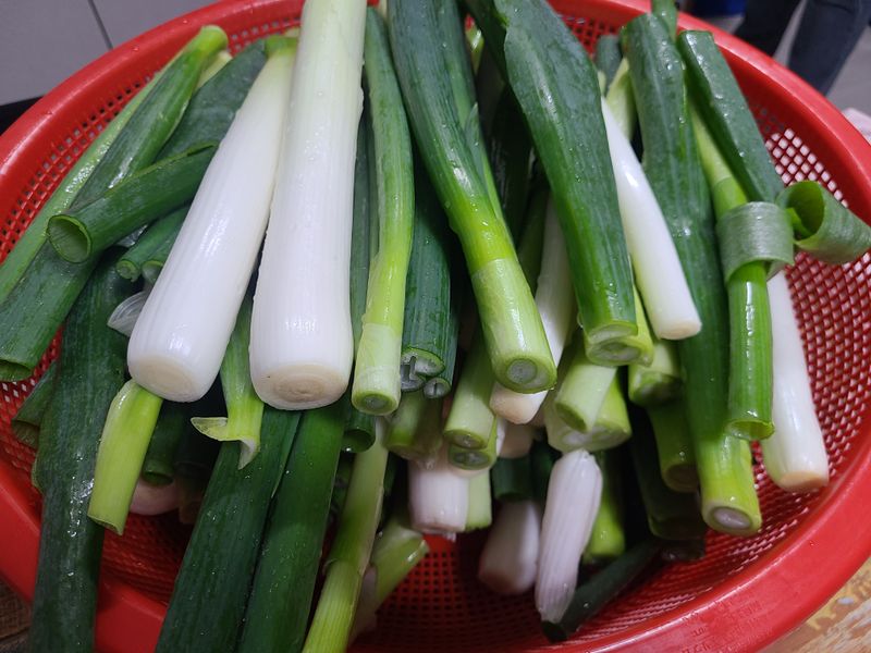 장터 상품 [신안 임자도산 깐대파판매 5kg/10kg] 썸네일