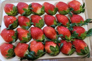 강미향님의 작성글 사진