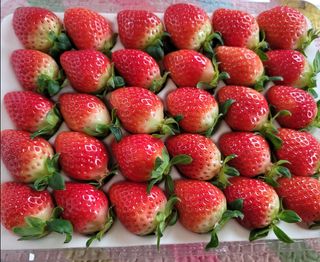 강미향님의 작성글 사진