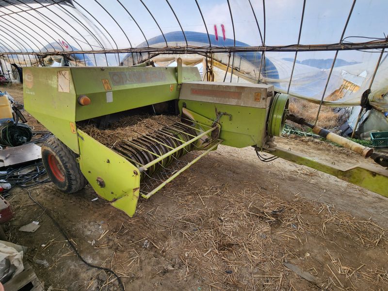 장터 상품 [아세아사각베일러구합니다 010-9114-4422] 썸네일