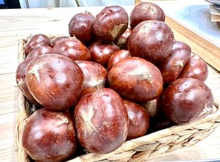 농부들의아지트님의 작성글 사진