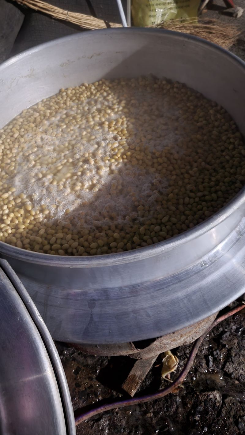 황현승님의 장터 판매 상품 [청국장1kg] 첨부 사진