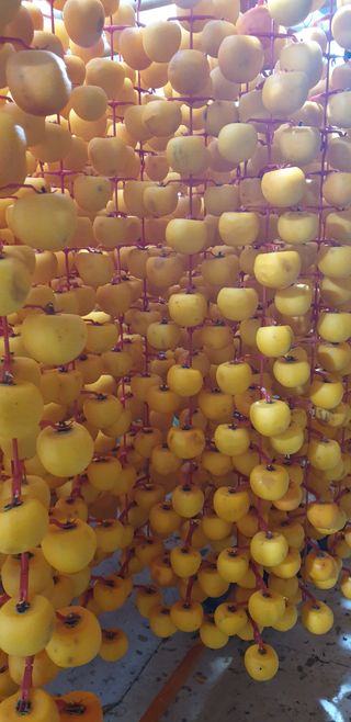 김봉근님의 감 · 자유게시판 작성글 사진