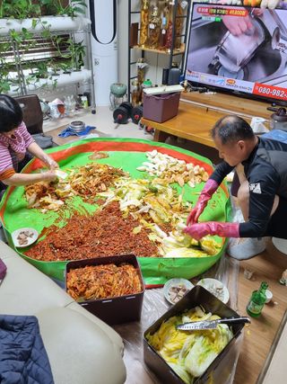 매실6242님의 배추 · 수확 작성글 사진