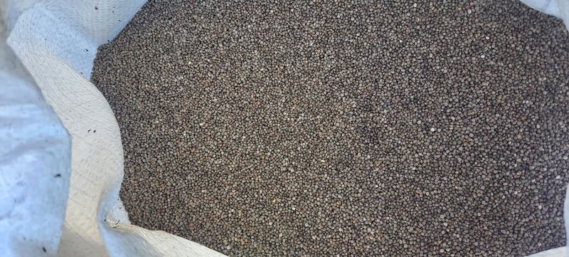 장터 상품 [햇검은들깨 1kg 2022년산] 썸네일