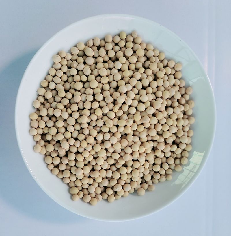 정안이네님의 장터 판매 상품 [햇검은들깨 1kg 2022년산] 첨부 사진