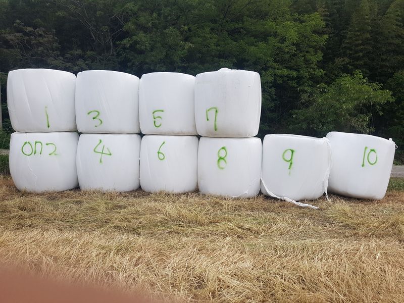 장터 상품 [볏짚판매] 썸네일