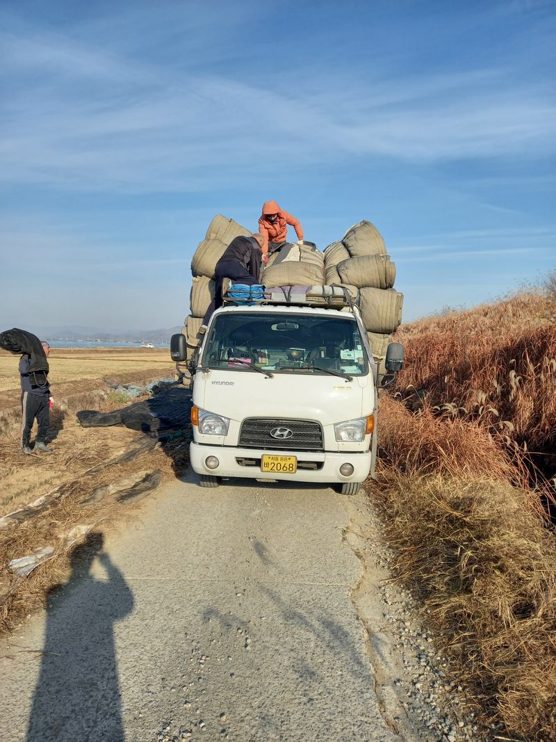 달콤한메론님의 장터 판매 상품 [하우스이불팝니다] 첨부 사진