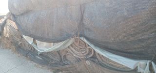 달콤한메론님의 작성글 사진