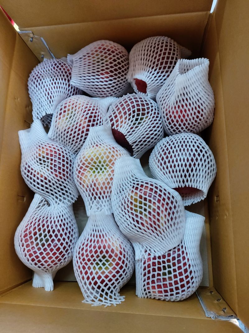 임한상님의 장터 판매 상품 [화천부사사과. 10kg.] 첨부 사진