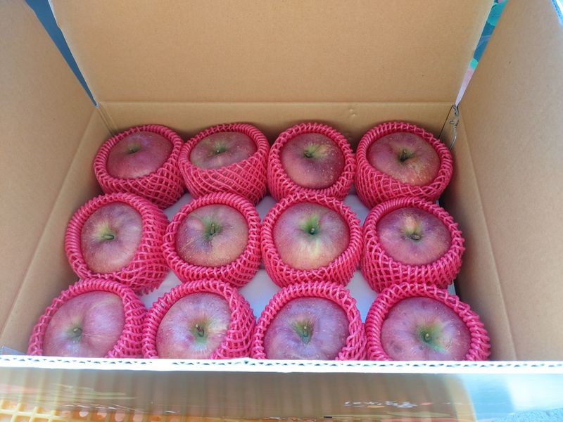 장터 상품 [화천부사사과. 10kg.] 썸네일