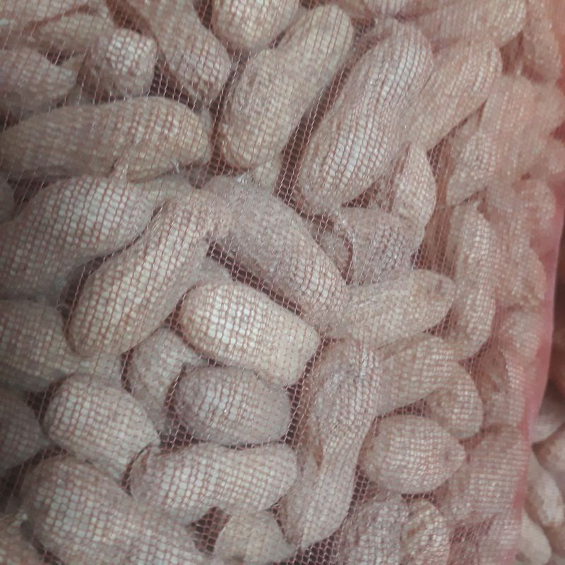 장터 상품 [피땅콩] 썸네일