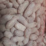 팜모닝 · 게시글 이미지