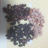 팜모닝 · 게시글 이미지