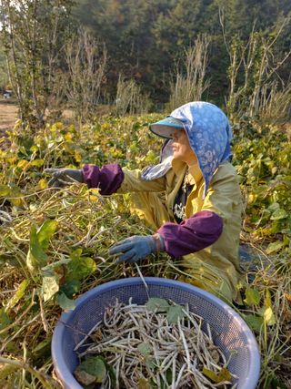바다님의 작성글 사진