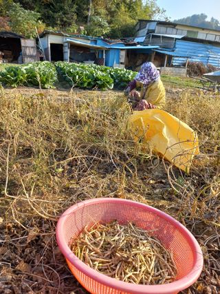 바다님의 작성글 사진