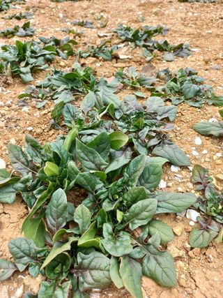 바다님의 작성글 사진