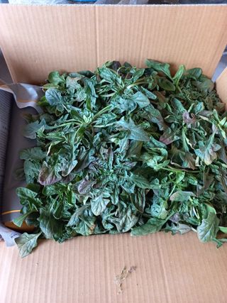 바다님의 작성글 사진