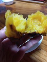 팜모닝 고구마·자유게시판 게시글 이미지