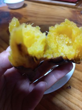 바다님의 고구마 · 자유게시판 작성글 사진