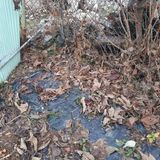 팜모닝 기타작물·자유게시판 게시글 이미지