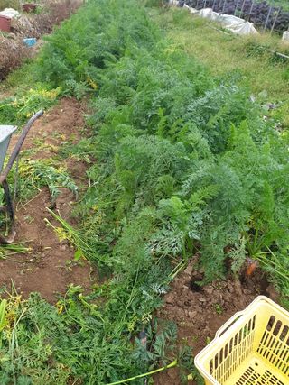 김화연님의 기타작물 · 자유게시판 작성글 사진