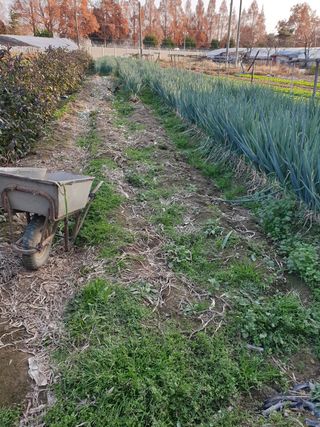 김화연님의 파 · 자유게시판 작성글 사진