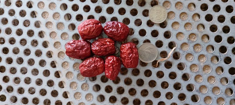 장터 상품 [건대추  5   키로   10키로] 썸네일