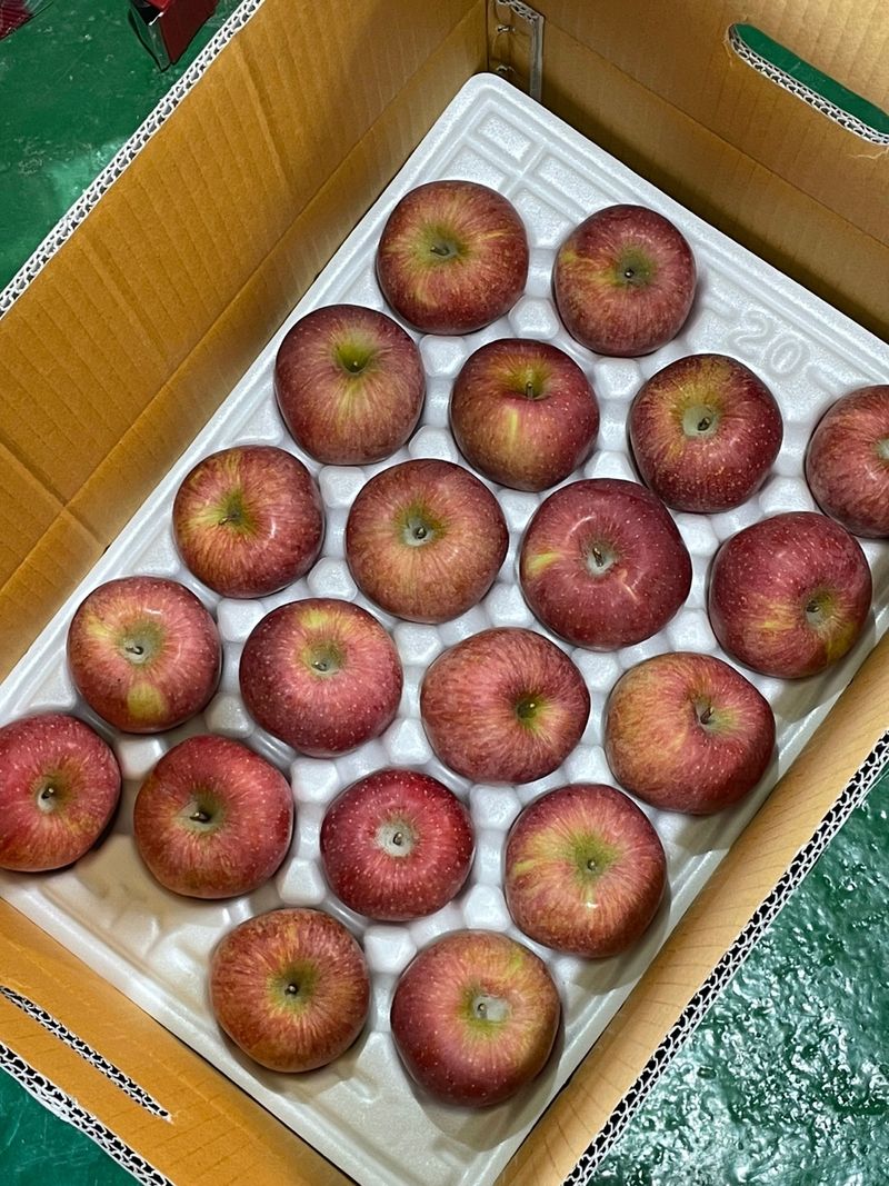 조순자님의 장터 판매 상품 [청송 부사 사과] 첨부 사진