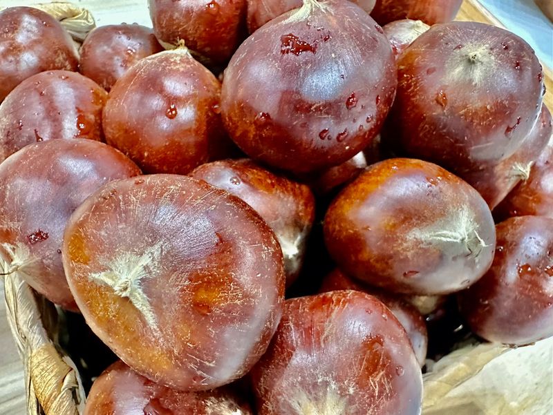 농부들의아지트님의 장터 판매 상품 [부여  명품밤2kg] 첨부 사진