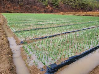 노고단님의 기타작물 · 자유게시판 작성글 사진