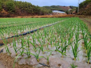 노고단님의 기타작물 · 자유게시판 작성글 사진