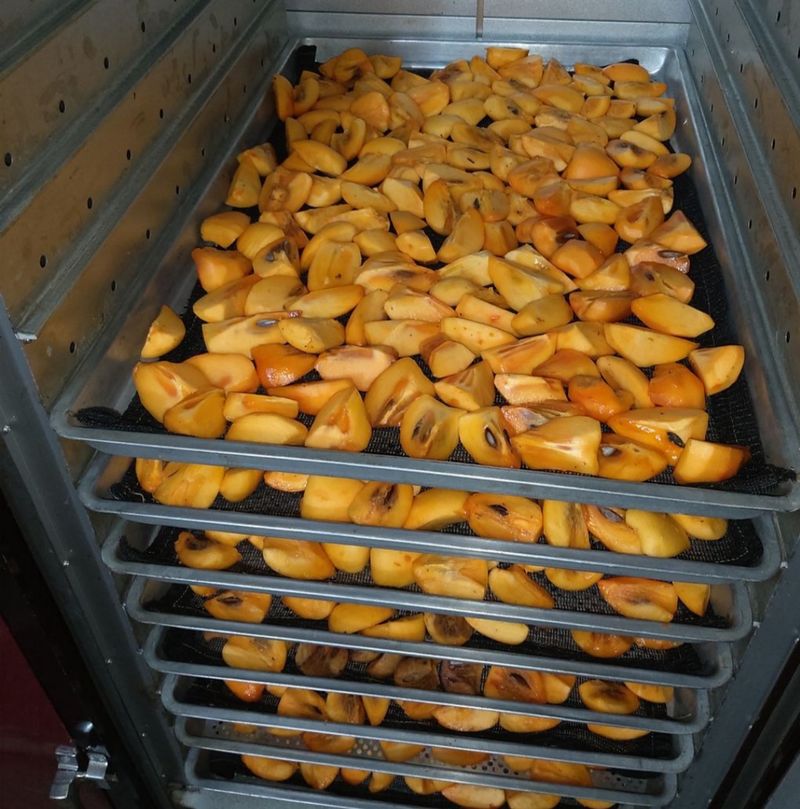 모야아빠님의 장터 판매 상품 [판매완료] 첨부 사진