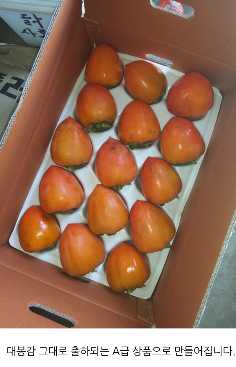 모야아빠님의 장터 판매 상품 [판매완료] 첨부 사진