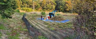 조한규(김효정)님의 콩 · 자유게시판 작성글 사진