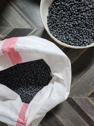 조한규(김효정)님의 콩 · 자유게시판 작성글 사진