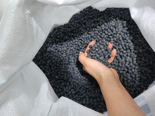 조한규(김효정)님의 콩 · 자유게시판 작성글 사진