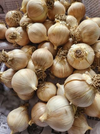 Preotu님의 기타작물 · 자유게시판 작성글 사진