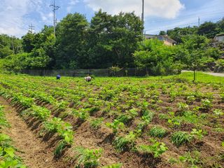 조한규(김효정)님의 작성글 사진