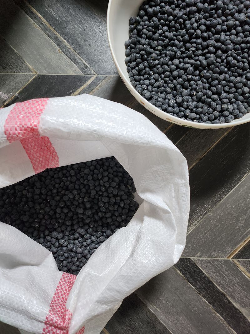 조한규(김효정)님의 장터 판매 상품 [서리태콩(청자5호) 1kg] 첨부 사진