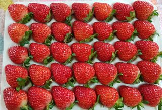 강미향님의 작성글 사진