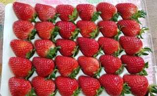 강미향님의 작성글 사진