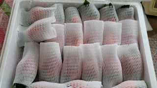 강미향님의 작성글 사진